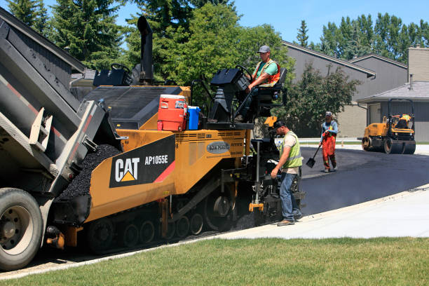 Best Custom Driveway Pavers  in Williams, AZ